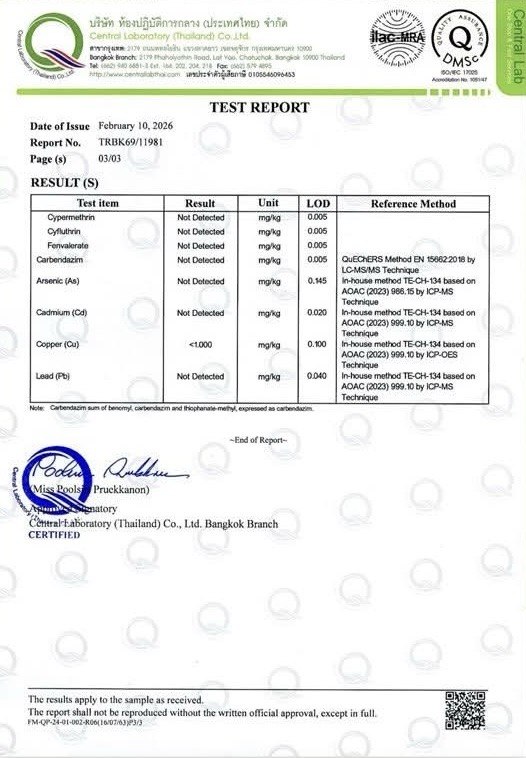 Certificate 3